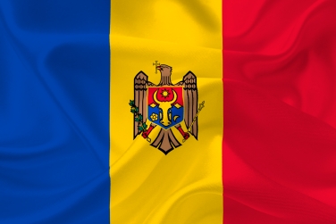 Противники независимой Молдовы потребовали отставки посла США
