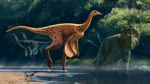 Палеонтологи нашли динозавра-страуса
