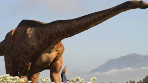 Окаменелости крупнейшего динозавра в Бразилии 60 лет пылились в шкафу