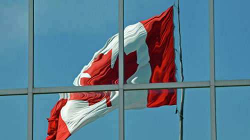 Канада принимает слишком много временных иностранных работников – сенатор