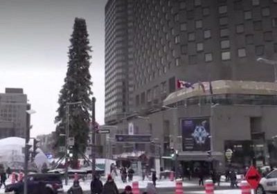 Уродливая рождественская ёлка в Монреале завела собственный Twitter