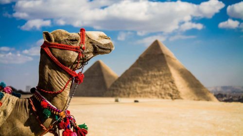 Египет отложил повышение цен на въездные визы