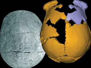 В Китае обнаружены черепа неизвестных науке предков человека