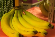 Продукты счастья: новые свойства бананов и тофу удивили ученых