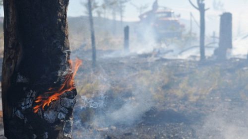 Лесные пожары в Канаде: возможна эвакуация населения