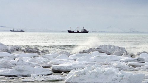 Ученые создали морозостойкую одежду для Арктики из нефтегазового сырья