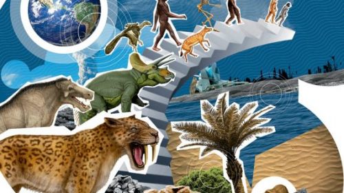 На Земле начался шестой период массового вымирания