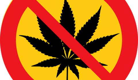 Полиция Канады выступила против легализации марихуаны