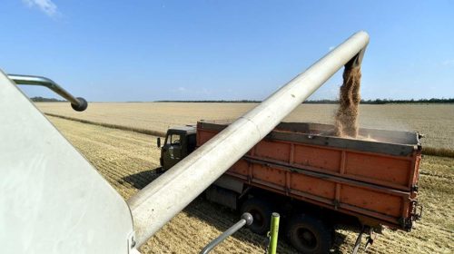 Вершинин обсудил с делегацией ООН вопрос доступа зерна РФ на мировые рынки