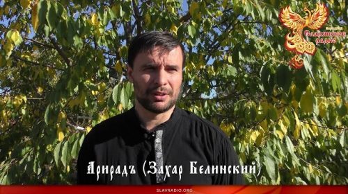 Пчёлы и аутоиммунные заболевания. Ответы доктора Арирада (Захар Белинский). Выпуск 2 (2018 год)