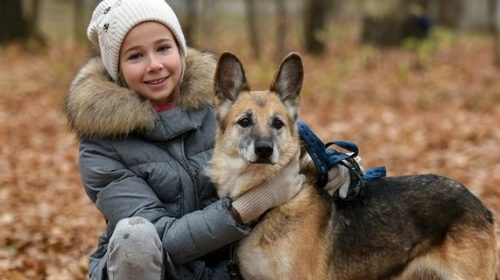 Невероятный талант телепатии с животными проявился у 11-летней девочки