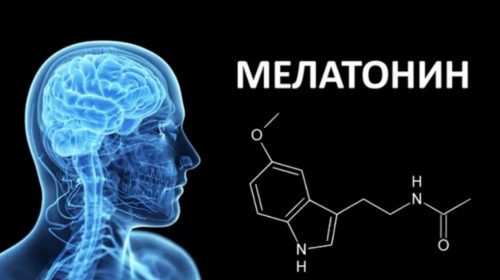 ТОП-5 мощных свойств мелатонина против рака