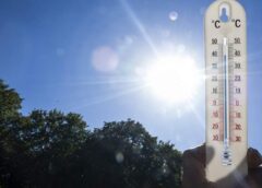 В Бельгии уровень смертности от жары в июне стал рекордным по Европе